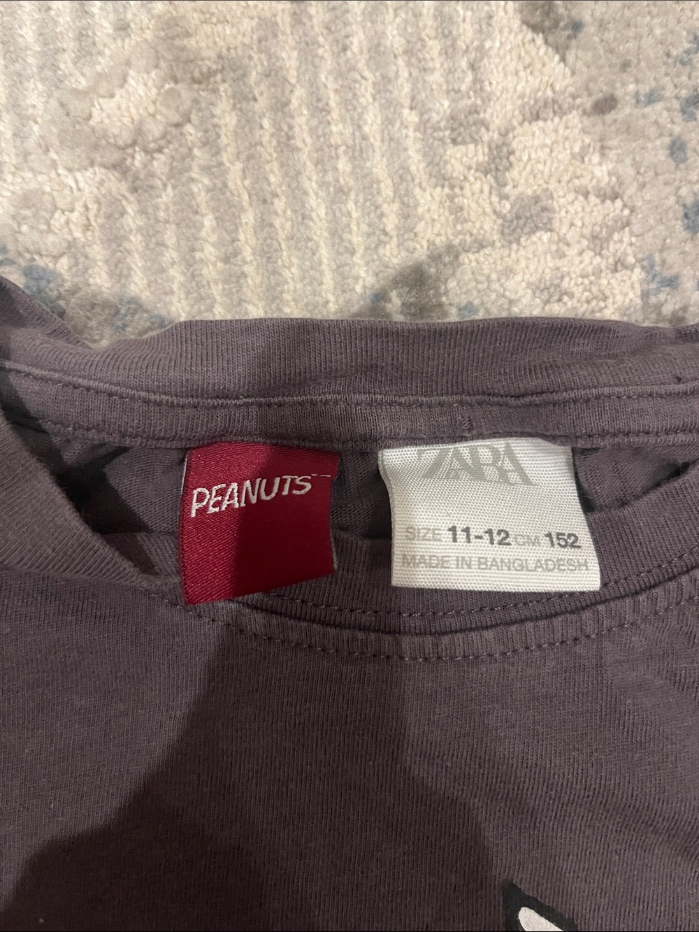 Zara Dark Gray Snoopy & Woodstock Graphic Long-Sleeve Tee - Picture 2 of 4